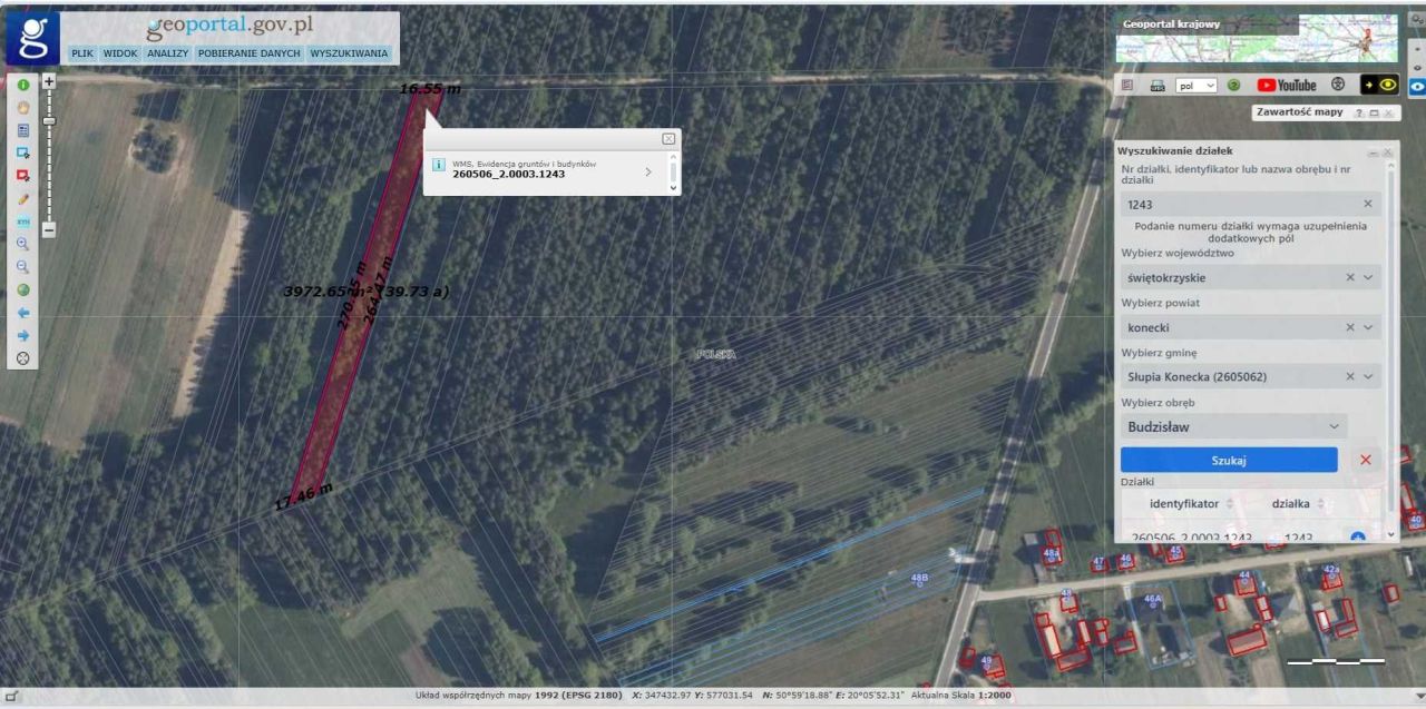 Działka leśna Budzisław. Zdjęcie 7