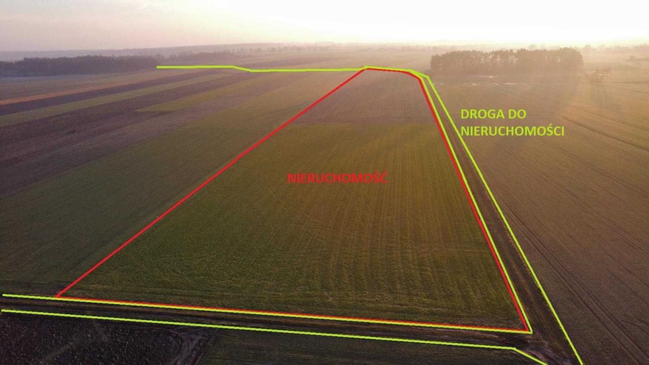 Działka inwestycyjna Borek Wielkopolski. Zdjęcie 4
