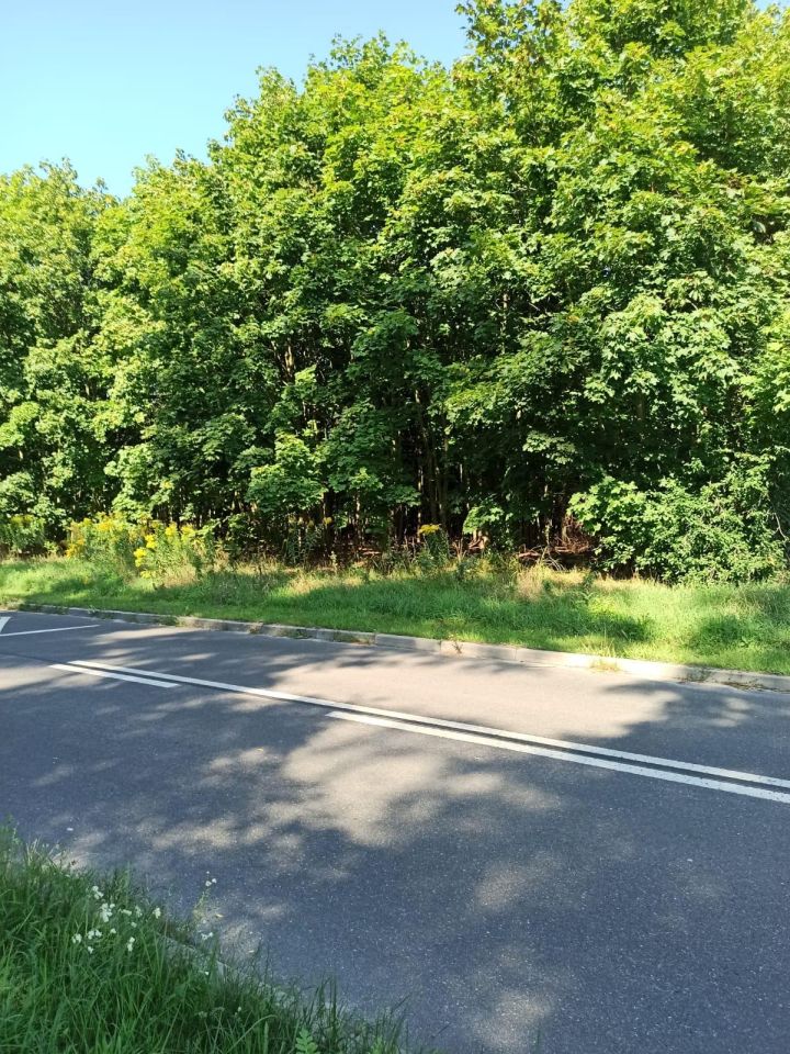 Działka inwestycyjna Ścinawa, ul. Legnicka. Zdjęcie 2