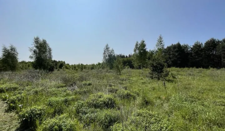 Działka rolno-budowlana Karakule