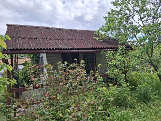 Działka rod Zielonka. Zdjęcie 1