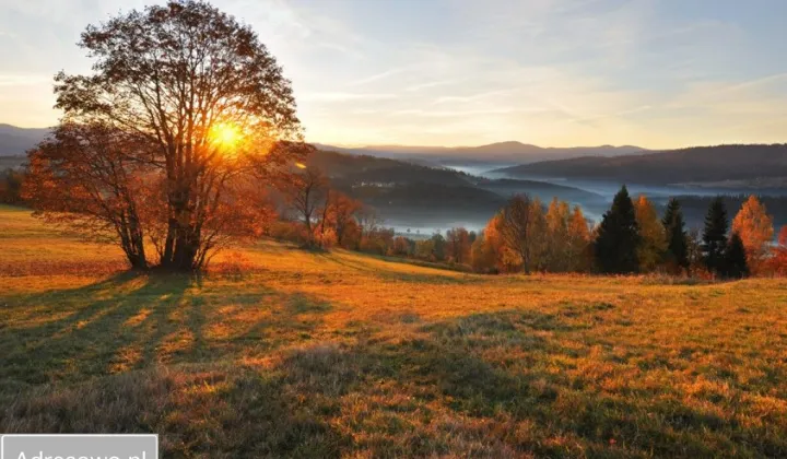 Działka budowlana Laliki Berkówka