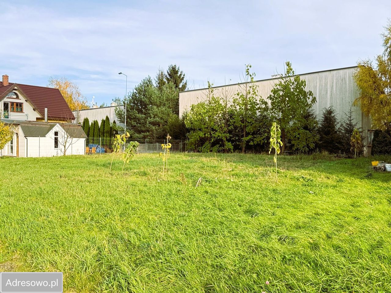 Działka budowlana Nowiny. Zdjęcie 5