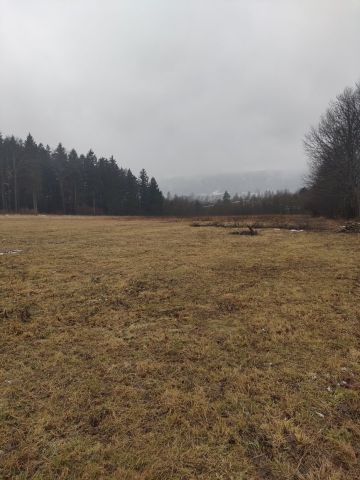 Działka rolno-budowlana Ponikwa. Zdjęcie 1