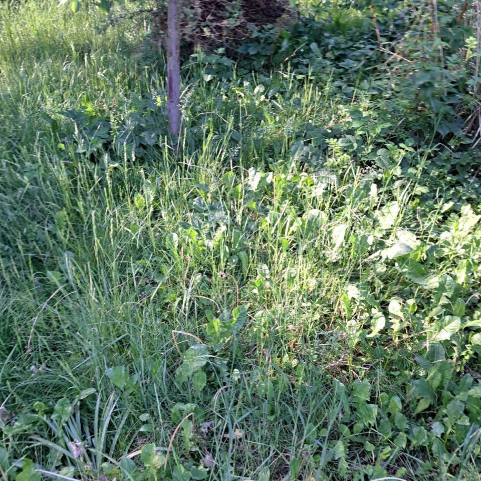 Działka rod Wałbrzych Podzamcze. Zdjęcie 4
