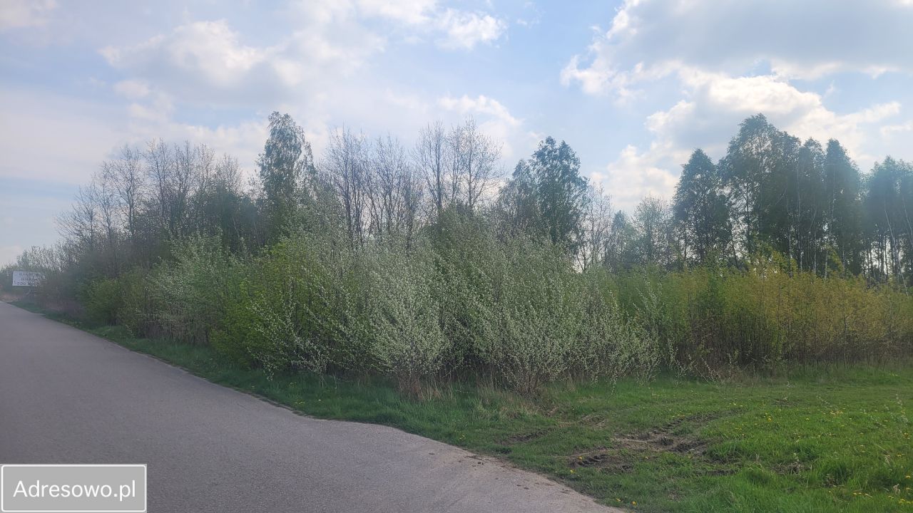 Działka inwestycyjna Dębe Wielkie. Zdjęcie 6