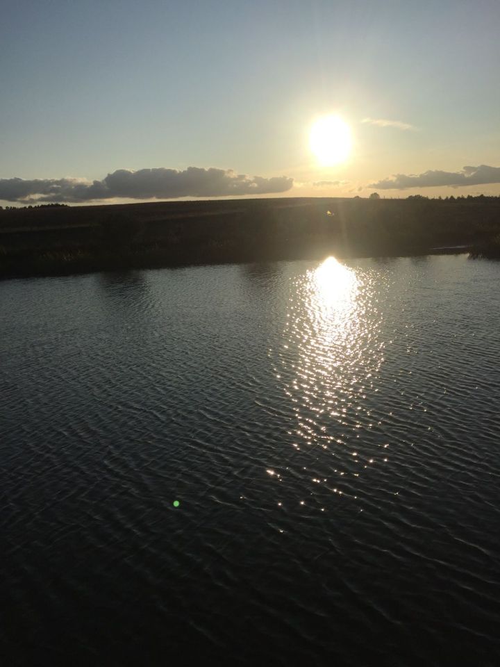 Działka rolna Przęsin. Zdjęcie 6