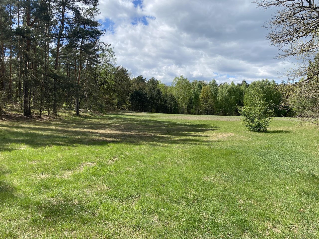 Działka siedliskowa Radziwiłka. Zdjęcie 6