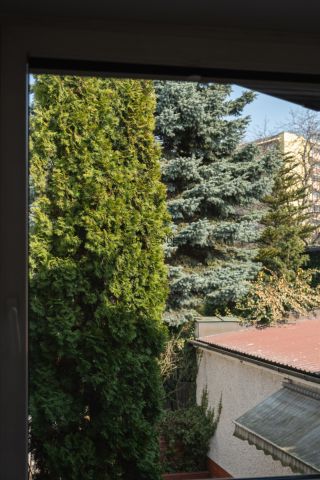 bliźniak, 8 pokoi Warszawa Praga-Południe. Zdjęcie 17