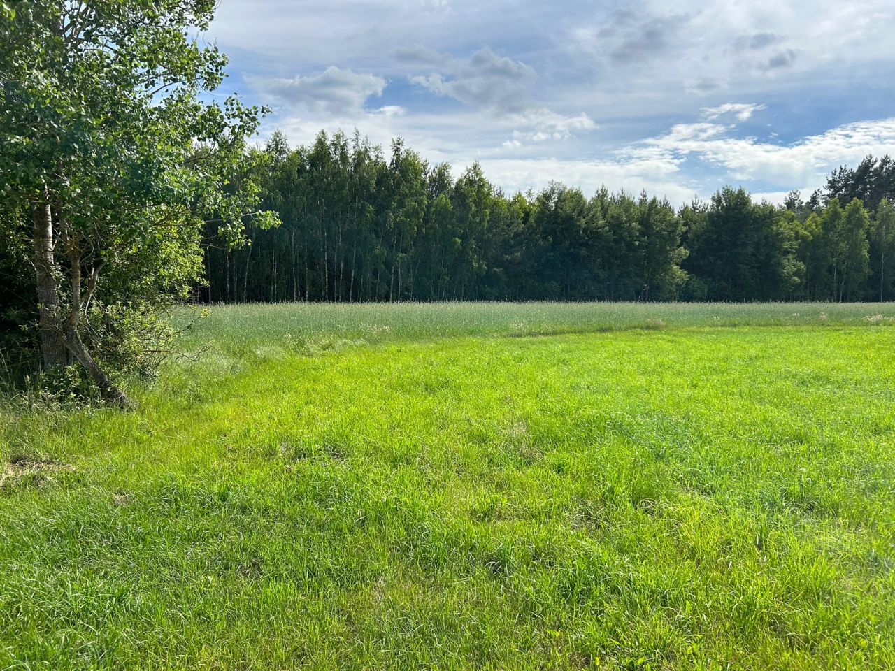 Działka rolno-budowlana Prusocin, droga gminna - działka nr 9. Zdjęcie 14