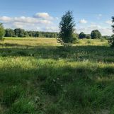 Działka rekreacyjna Dzierżenin. Zdjęcie 1