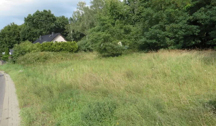 Działka rolna Czepino, ul. Gryfińska