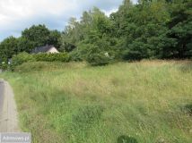 Działka rolna Czepino, ul. Gryfińska