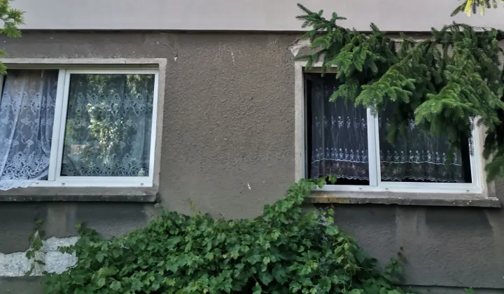 dom wolnostojący Wielka Nieszawka
