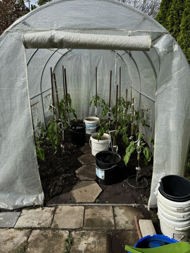 Działka rod Świnoujście Centrum, ul. Krzywa. Zdjęcie 6