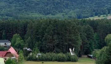 Działka budowlana Trzepieciny