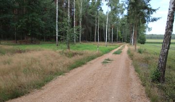 Działka rolno-budowlana Leśnogóra