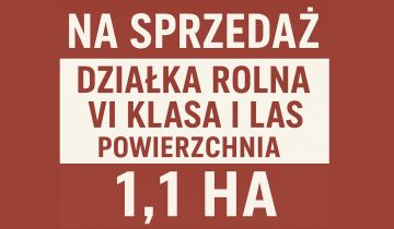 Działka rolna Silna