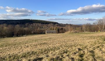 Działka siedliskowa Chromiec