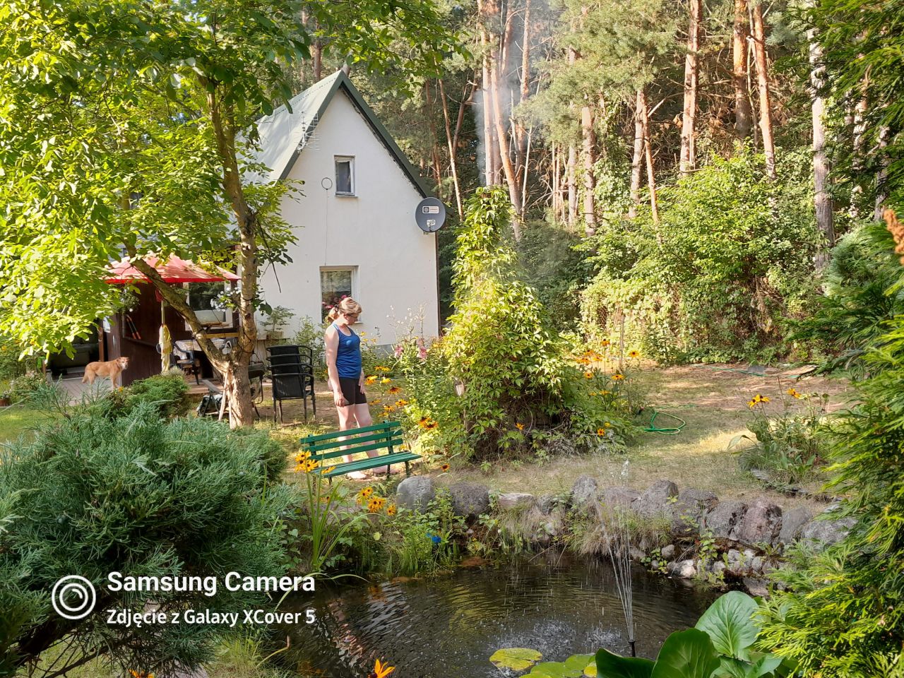 Działka rekreacyjna Zambski Kościelne. Zdjęcie 11