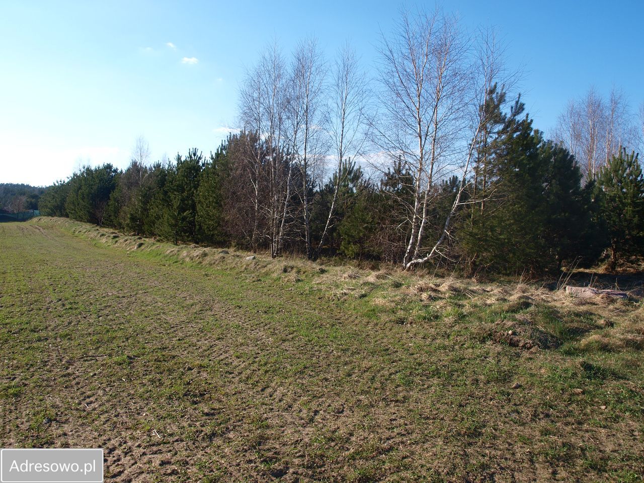 Działka rekreacyjna Lipy. Zdjęcie 13