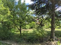 Działka rod Tarnobrzeg, ul. Borów. Zdjęcie 3
