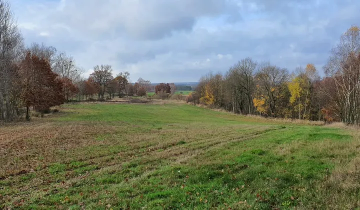 Działka rolna Rydzewo