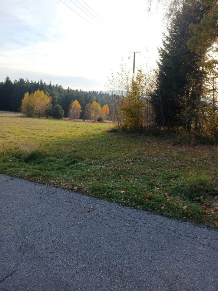 Działka rolno-budowlana Pisarzowa. Zdjęcie 4