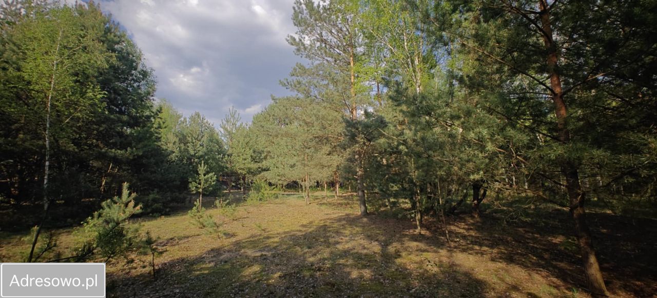 Działka budowlana Goździówka. Zdjęcie 7