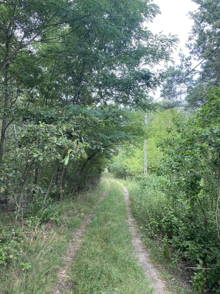 Działka rolno-budowlana Leonów. Zdjęcie 2