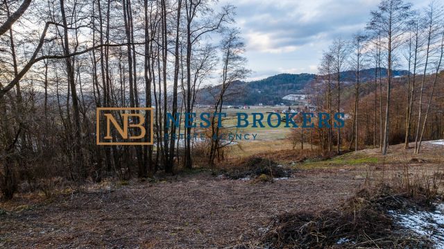 Działka budowlana Roztoka-Brzeziny. Zdjęcie 9