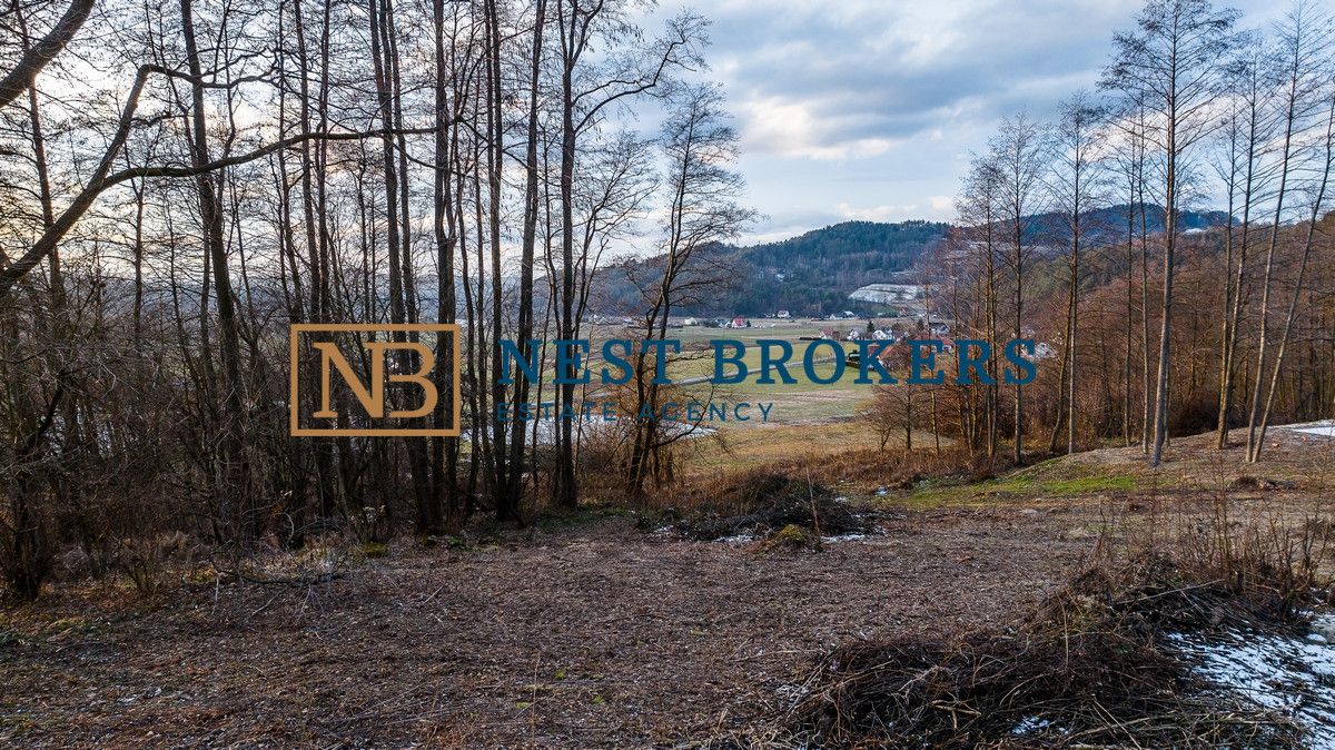 Działka budowlana Roztoka-Brzeziny. Zdjęcie 9