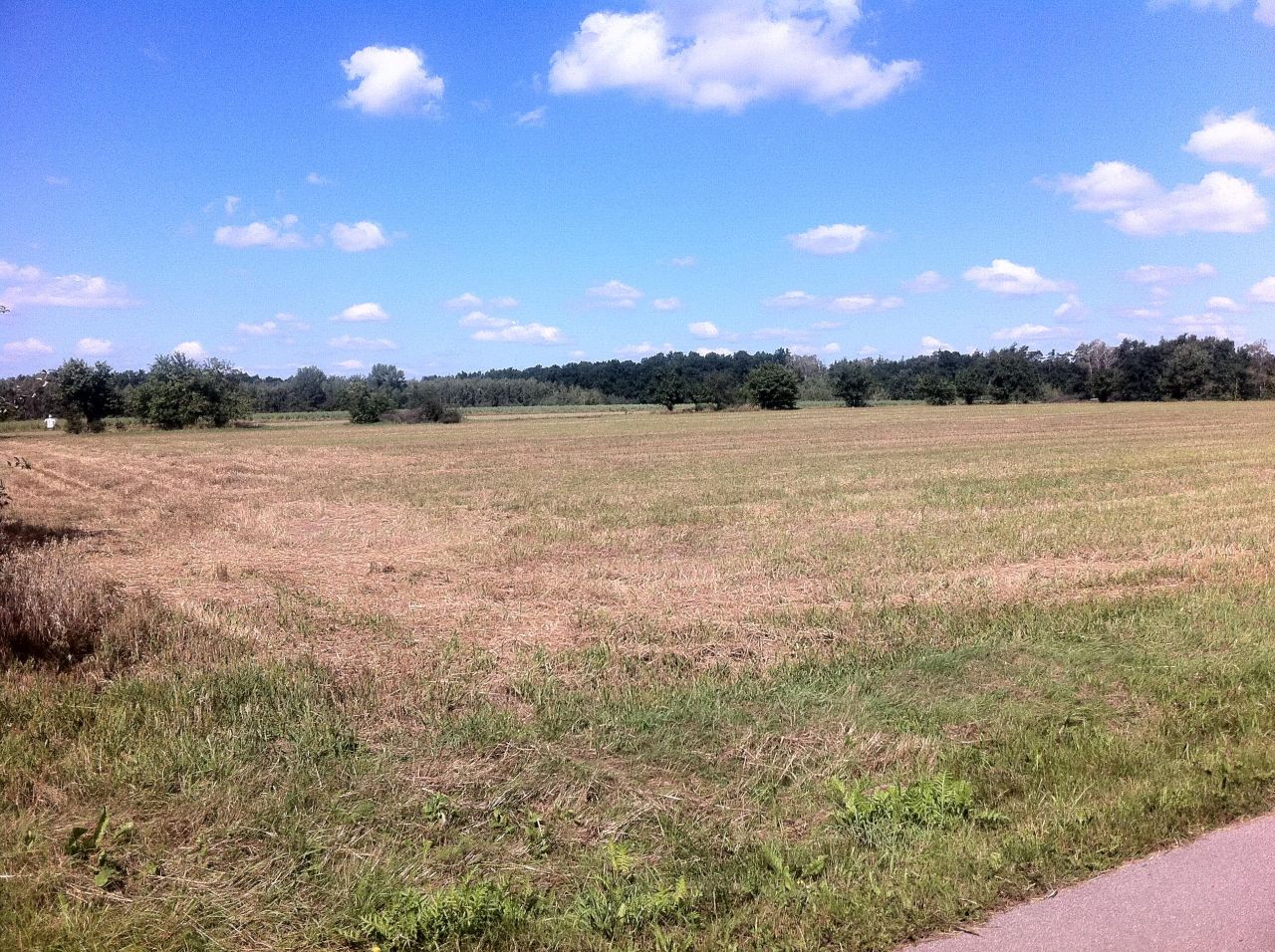 Działka budowlana Trzcianka. Zdjęcie 6