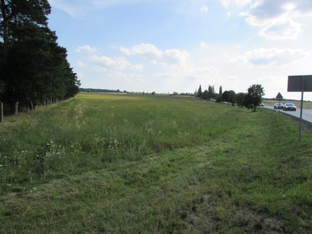 Działka inwestycyjna Nowogród Bobrzański. Zdjęcie 1