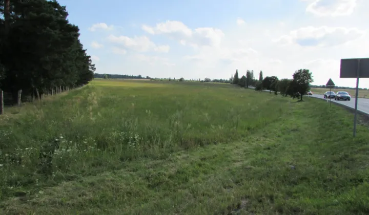 Działka inwestycyjna Nowogród Bobrzański