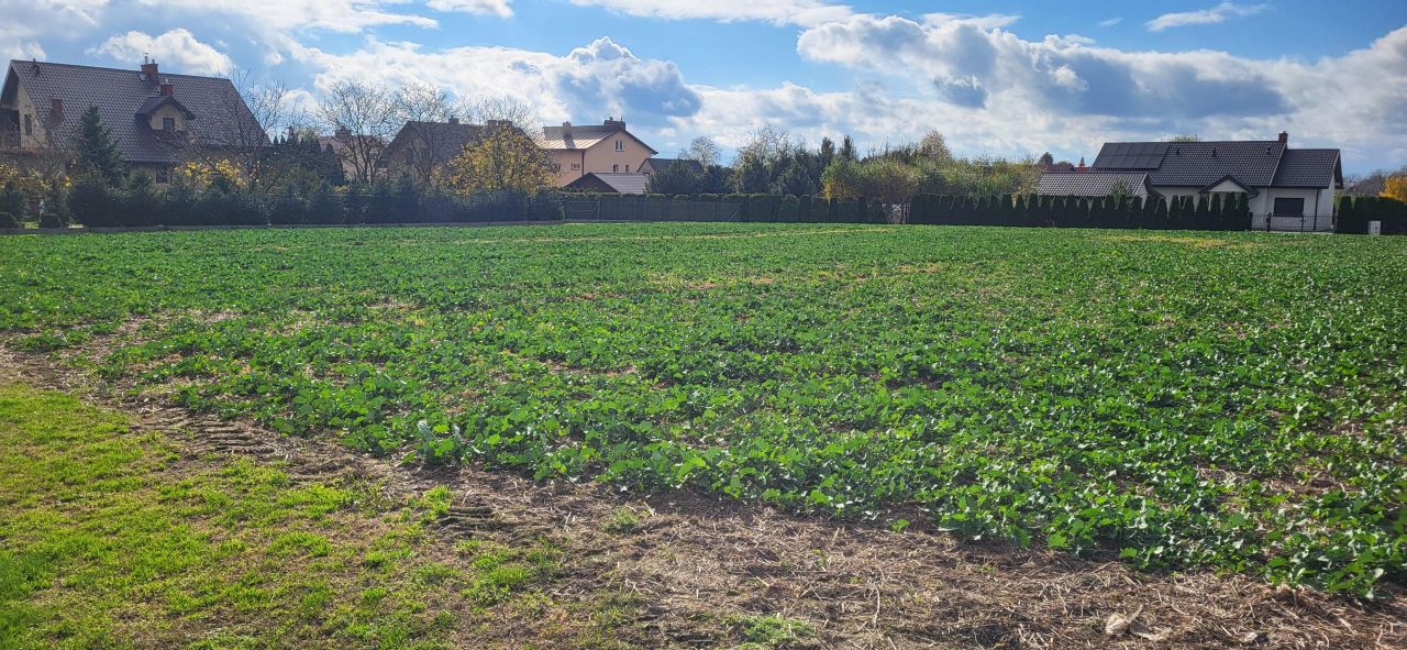 Działka budowlana Szówsko Wola, ul. Słoneczna. Zdjęcie 5
