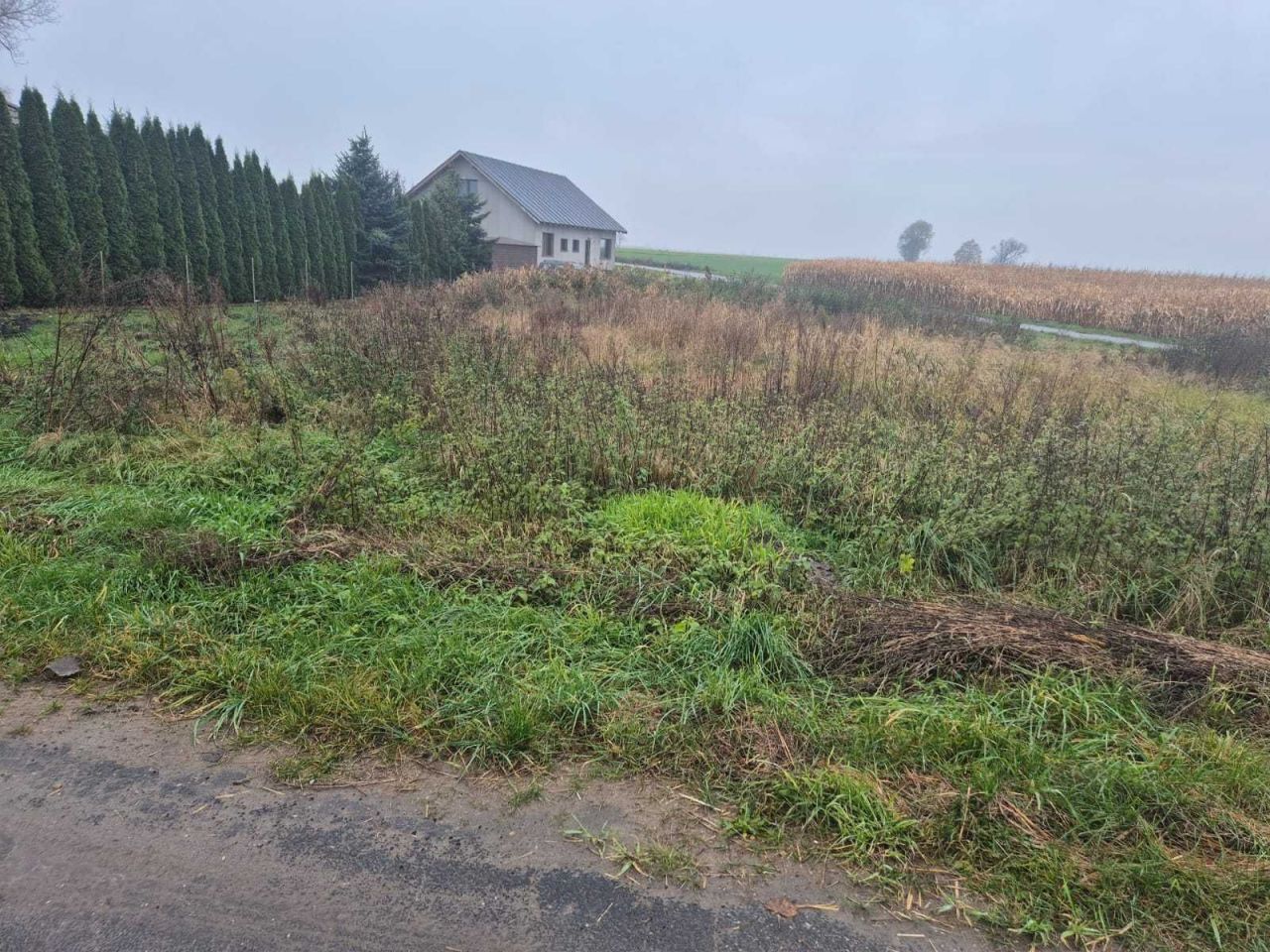 Działka rolna Świątniki Wielkie. Zdjęcie 3