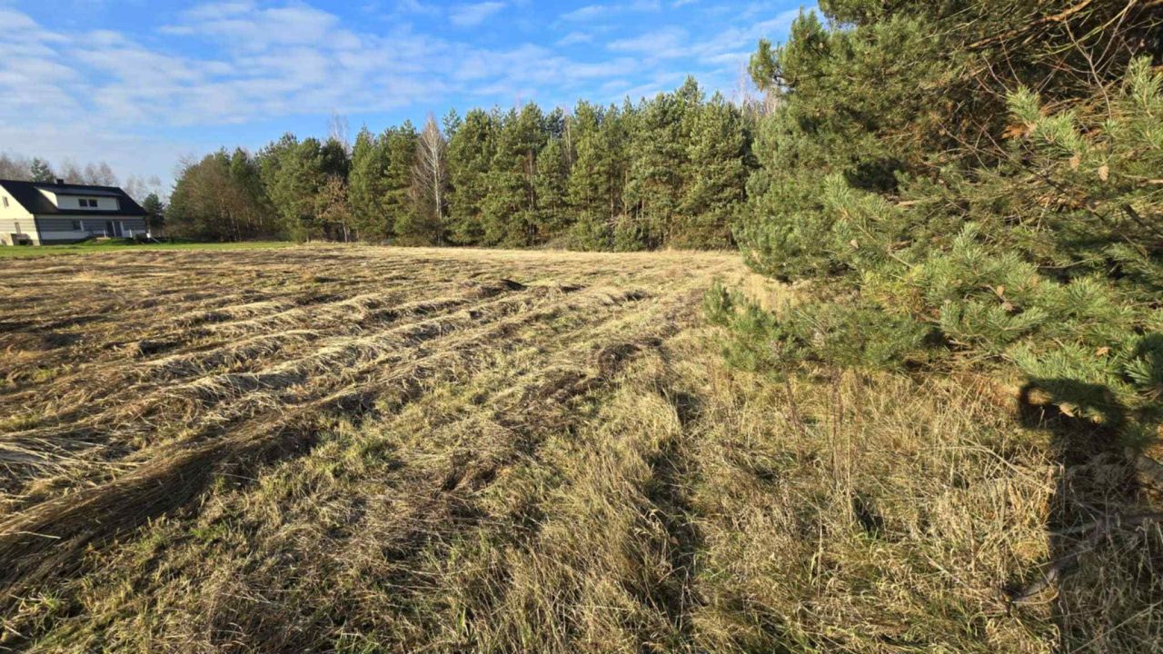 dom wolnostojący, 6 pokoi Kolonia Piaski. Zdjęcie 18