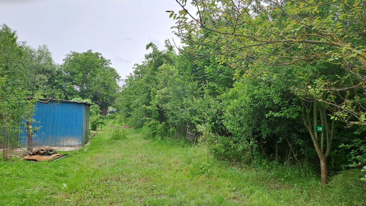 Działka rod Ciechanów. Zdjęcie 3