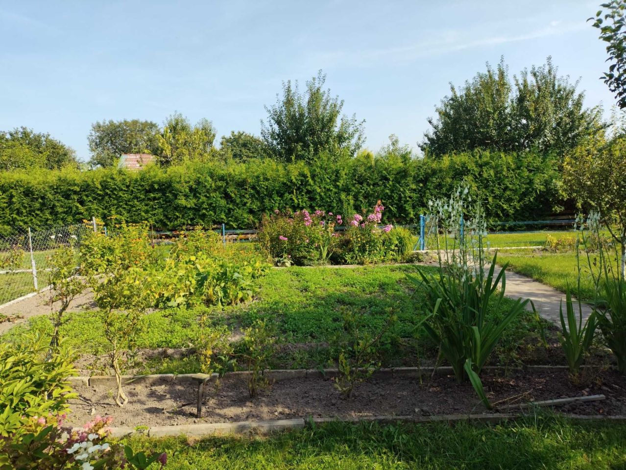 Działka rod Wałcz Raduń. Zdjęcie 6