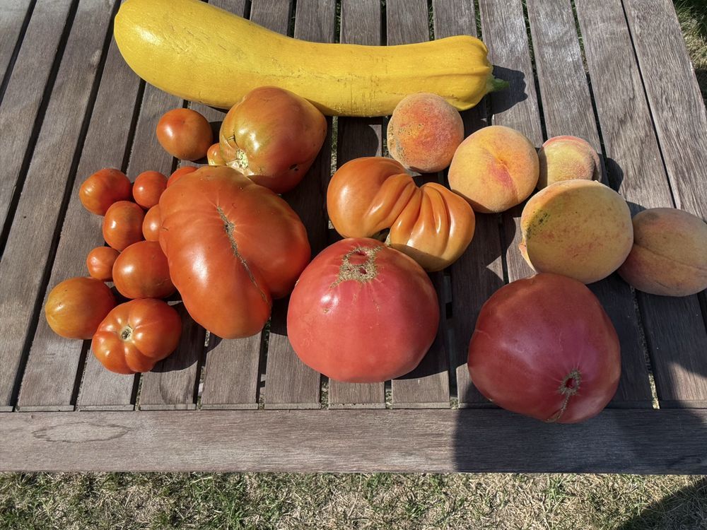 Zdjęcie 5