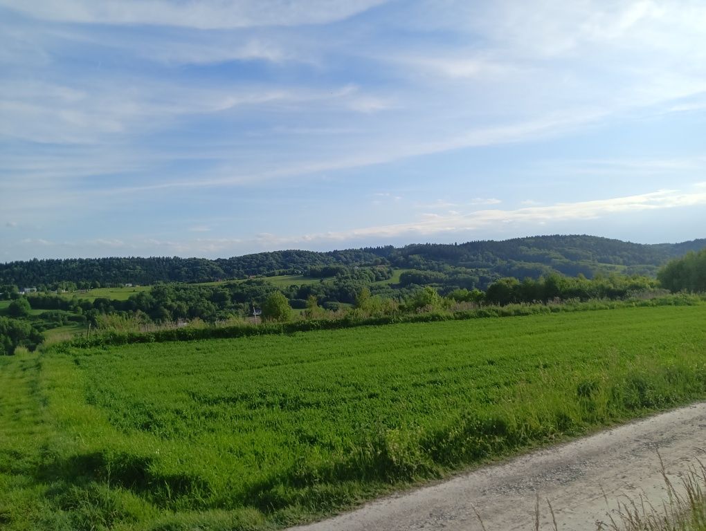 Działka budowlana Cieszyna