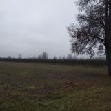 Działka rolno-budowlana Białki Dolne. Zdjęcie 3