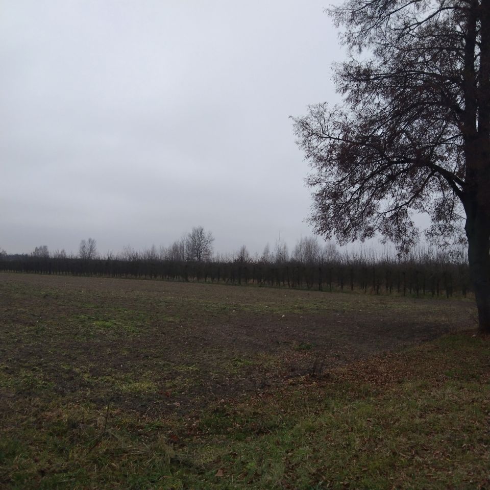 Działka rolno-budowlana Białki Dolne. Zdjęcie 4