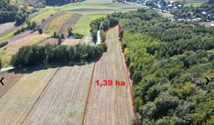 Działka inna Podleśna Wola Górna