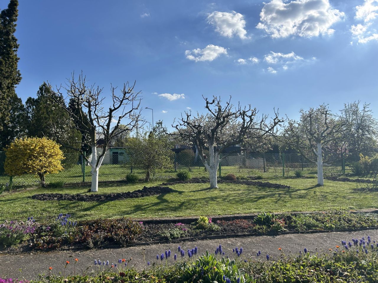 Działka rod Głogów, ul. Adama Mickiewicza. Zdjęcie 7