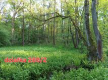 Działka rolno-budowlana Rączna. Zdjęcie 4