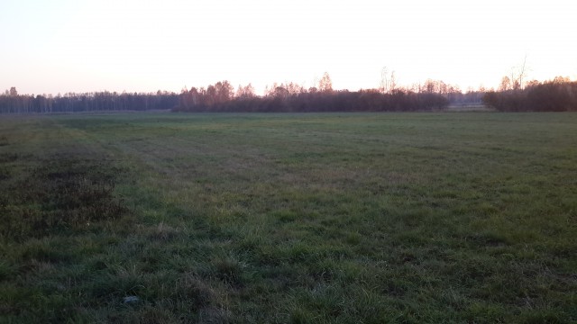 Działka rolna Świdnica Łochowo. Zdjęcie 1