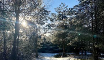 Działka rolno-budowlana Wiewiórowo