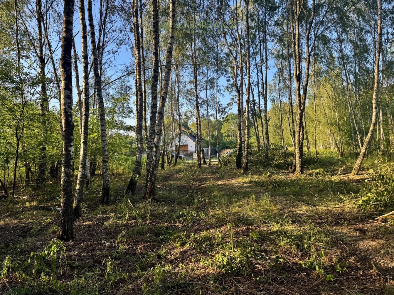 Działka budowlana Pogorzel, ul. Polna. Zdjęcie 4